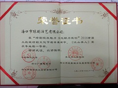 榮獲2016年首屆大致坡瓊劇文化節(jié)一等獎(jiǎng)